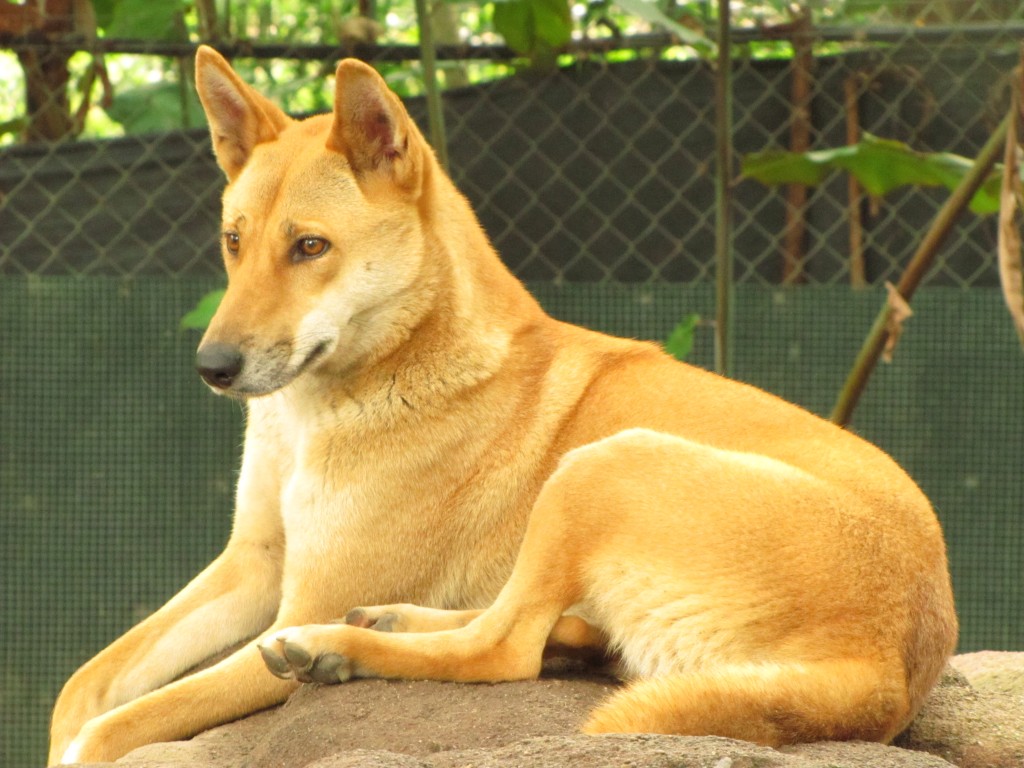 Manage your Profile/Account here Animal Training Academy