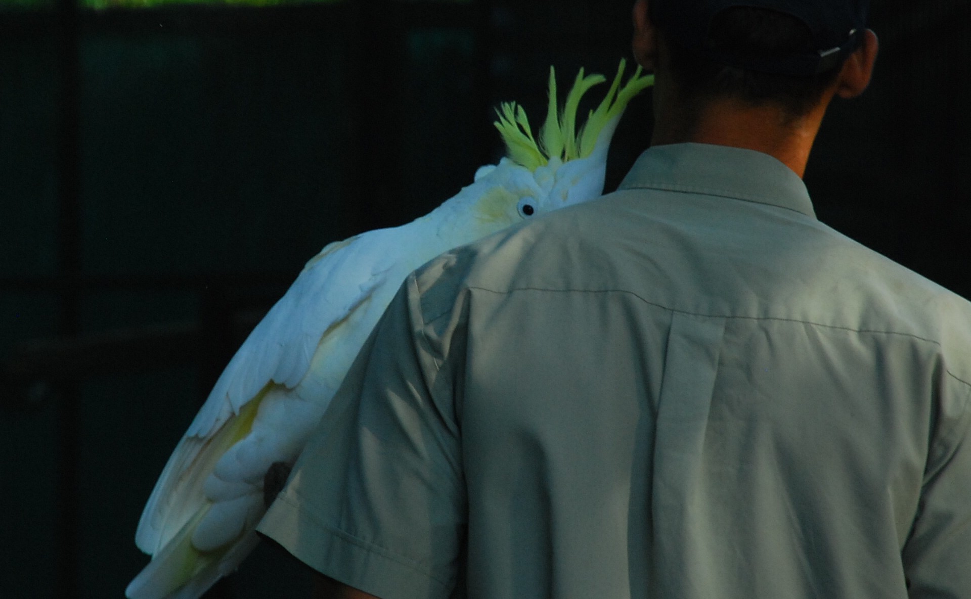 Podcast review Animal Training Academy