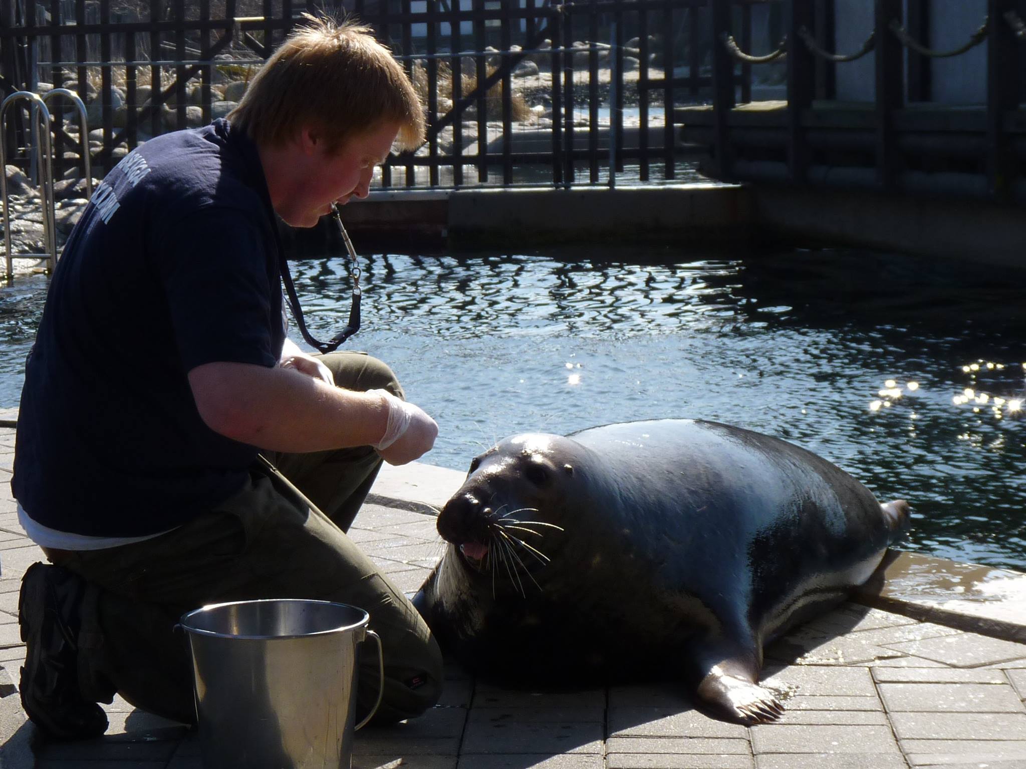 Shaping behavior Animal Training Academy