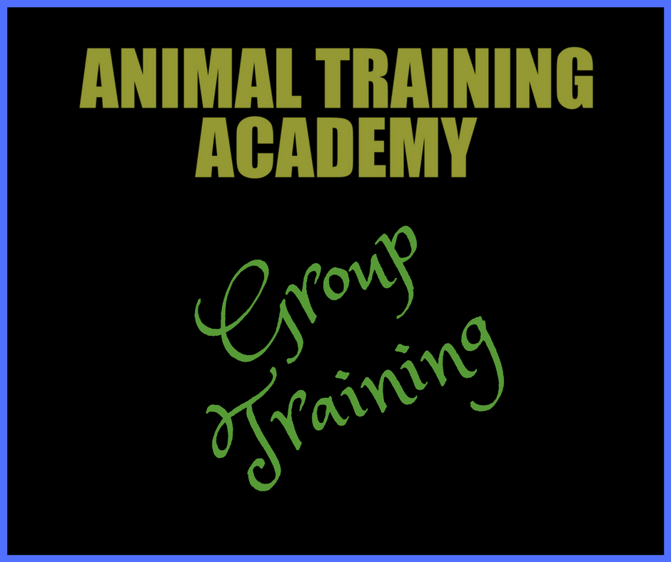 Group training Hosted by Ryan Cartlidge Animal Training Academy