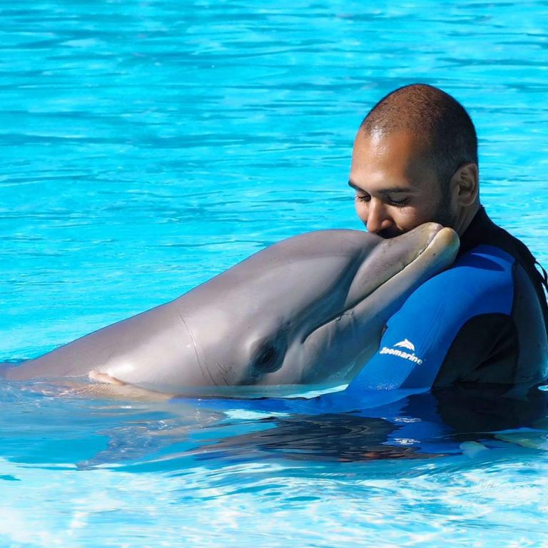 Chirag Patel Domesticated Manners (The bucket game) Animal Training