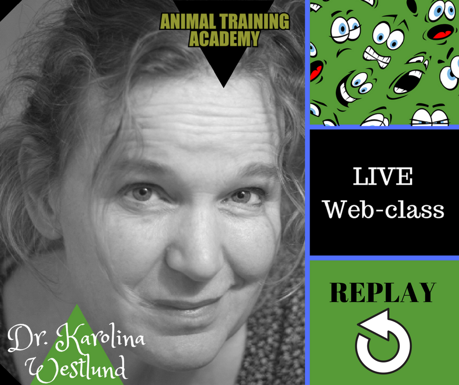 Animal Emotions – With special guest Dr. Karolina Westlund.