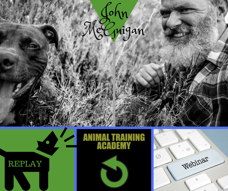 Extra content & Case studies Animal Training Academy