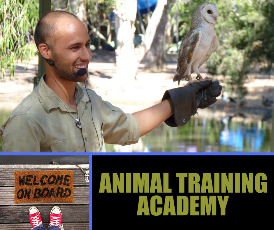 moonlit sanctuary information Animal Training Academy