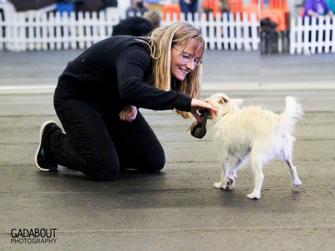 Denise Fenzi Animal Training Academy Podcast Denise Fenzi Animal Training Academy Podcast