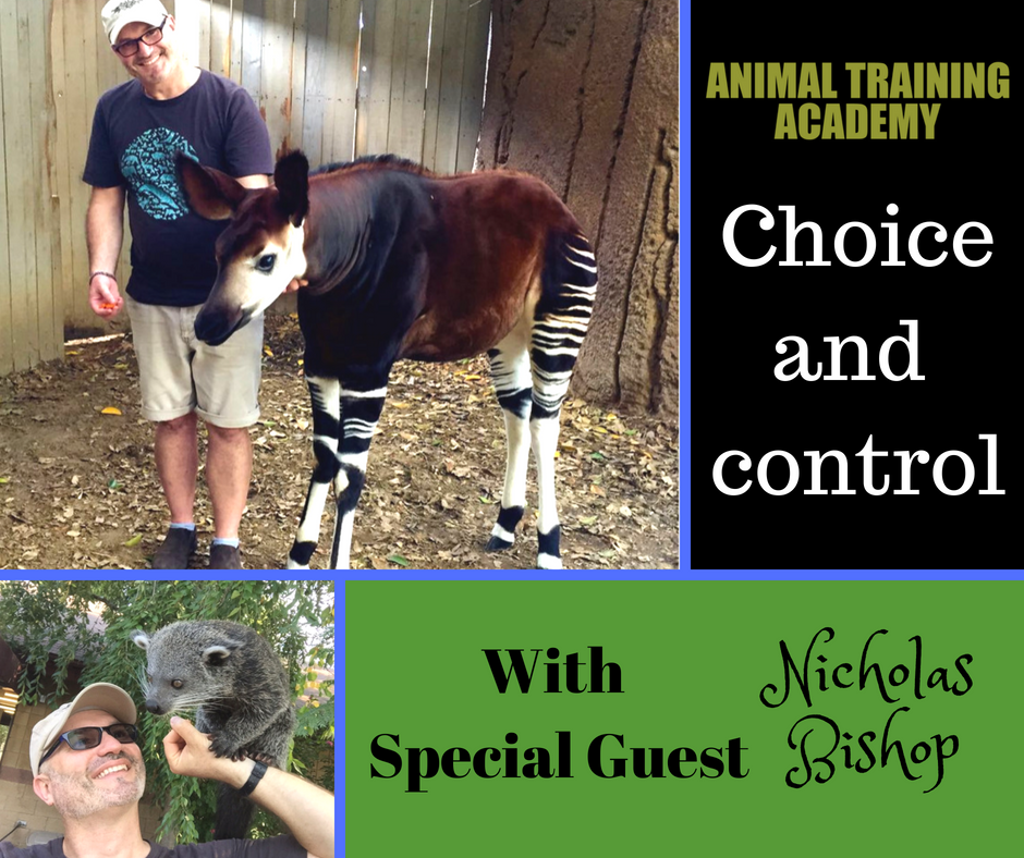 Choice and control [Web-class replay] with special guest Nicholas Bishop