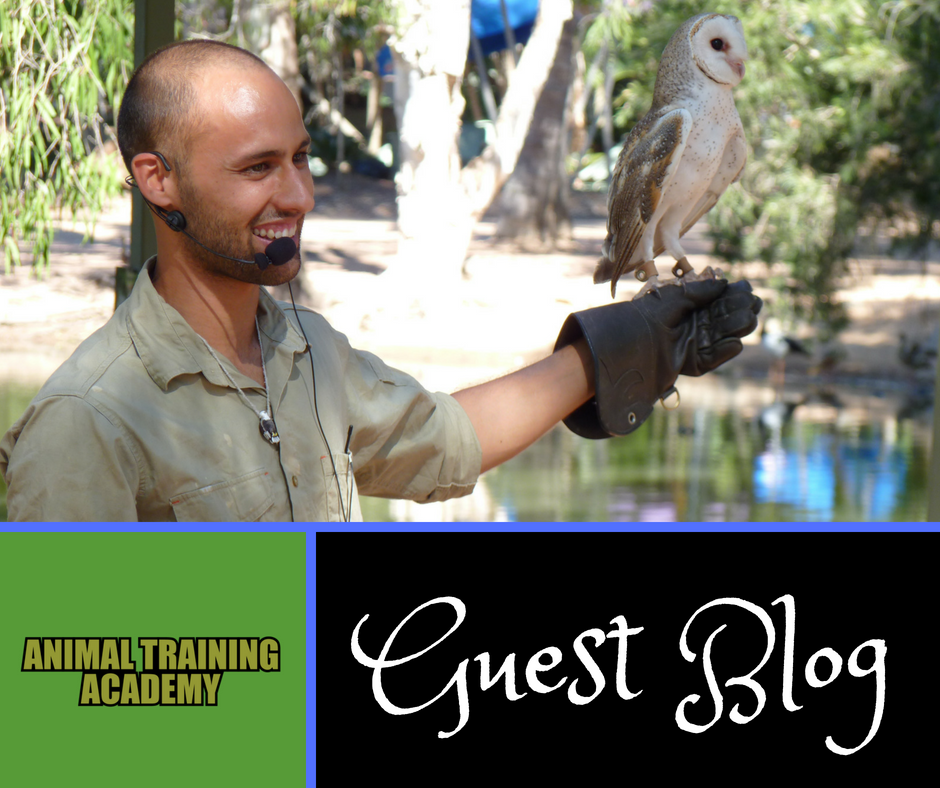 Animal Training Academy Blog Animal Training Academy