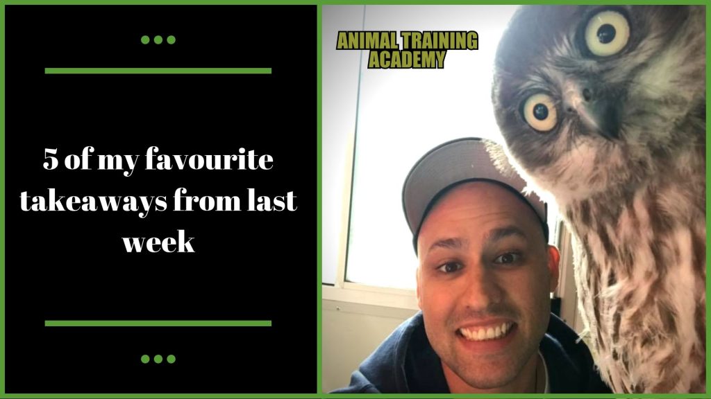 Behind the scenes! ? Exotic animal training Consulting a wildlife
