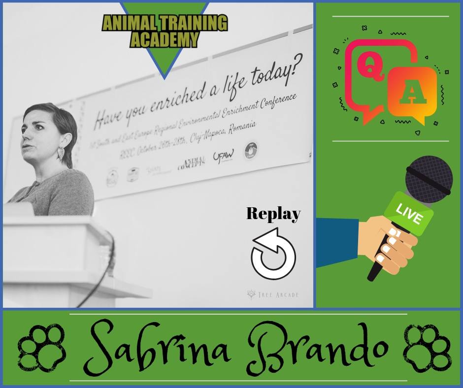 Sabrina Brando [Founder/Director AnimalConcepts] – LIVE Q&A; How to do animal welfare assessments