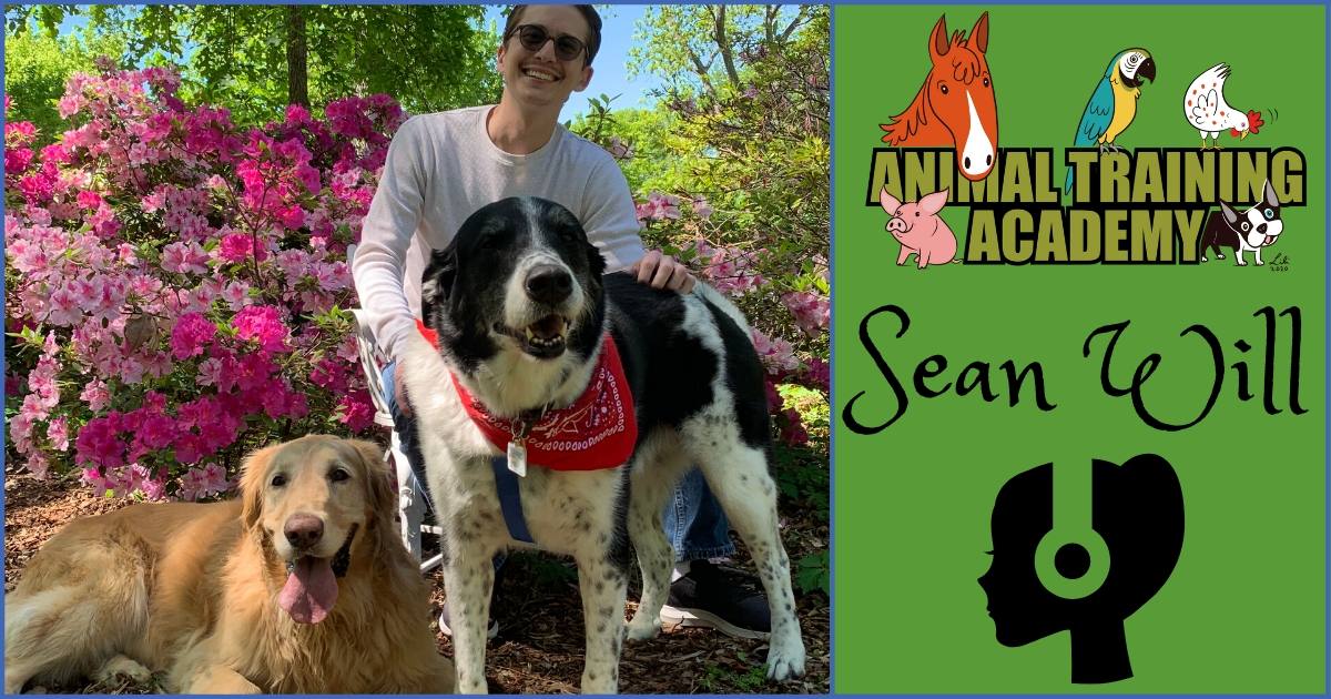 [Episode 124] Constructional affection with Sean Will Animal Training
