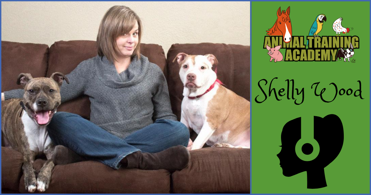 [Episode 127] Shelly Wood Introducing new dogs into your home & to