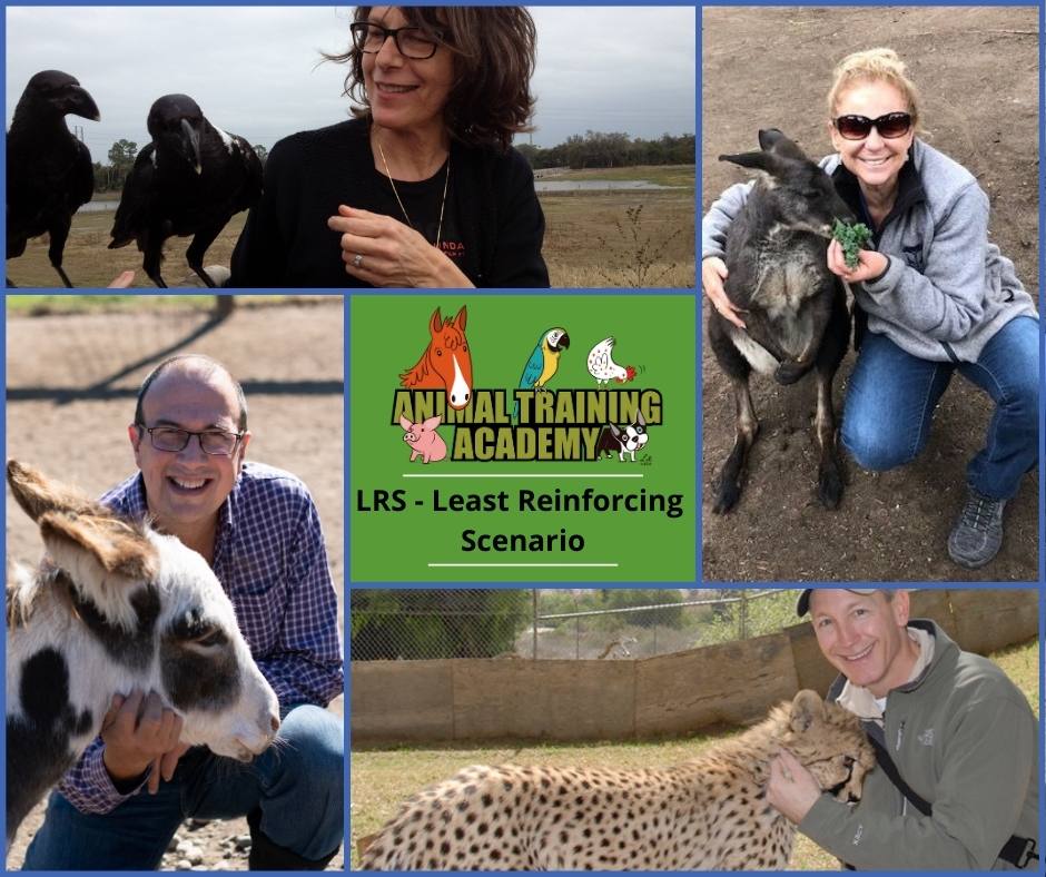 Least Reinforcing Scenario Ken Ramirez, Susan Friedman, Tim Sullivan