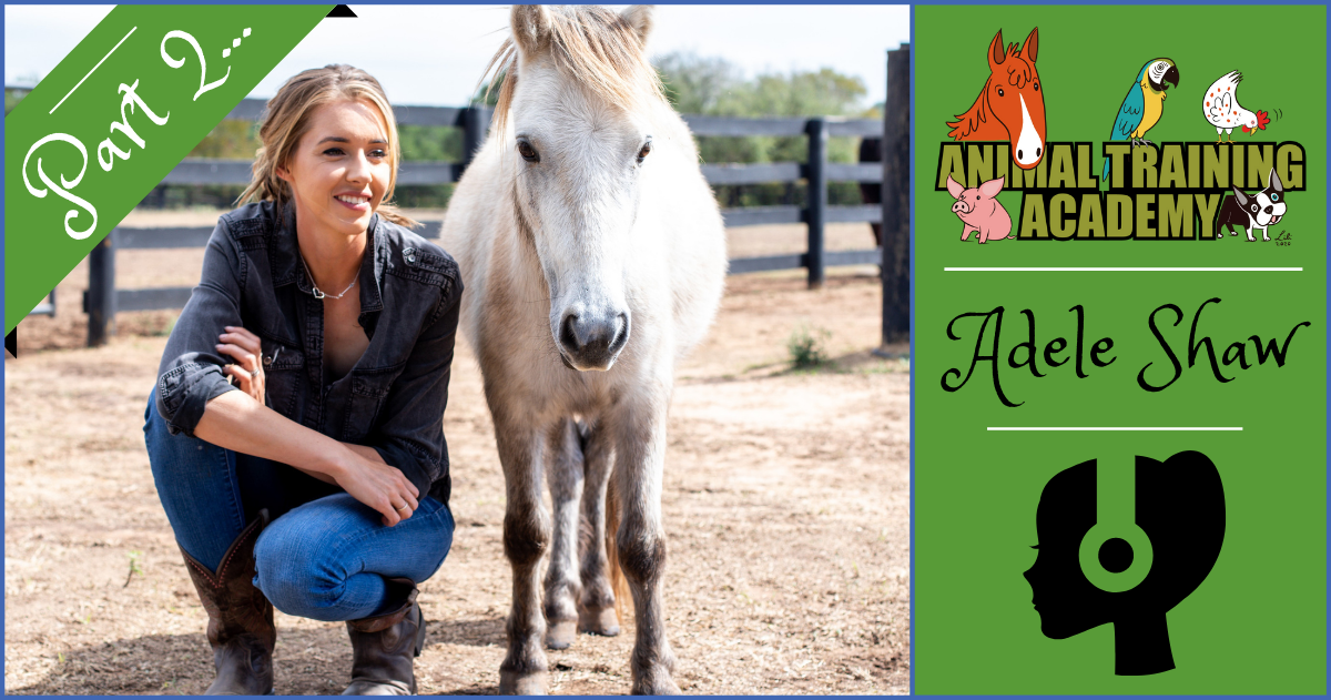 [Episode 137]; Adele Shaw, The Willing Equine Part 2 Animal