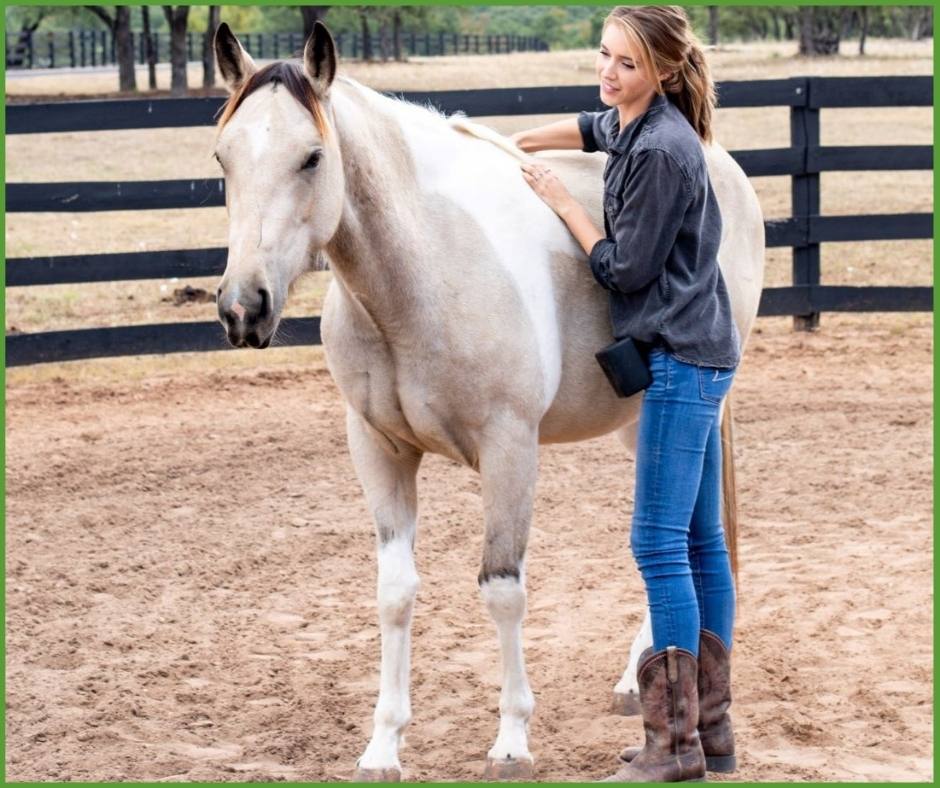 [Episode 136]; Adele Shaw, The Willing Equine Part 1 Animal