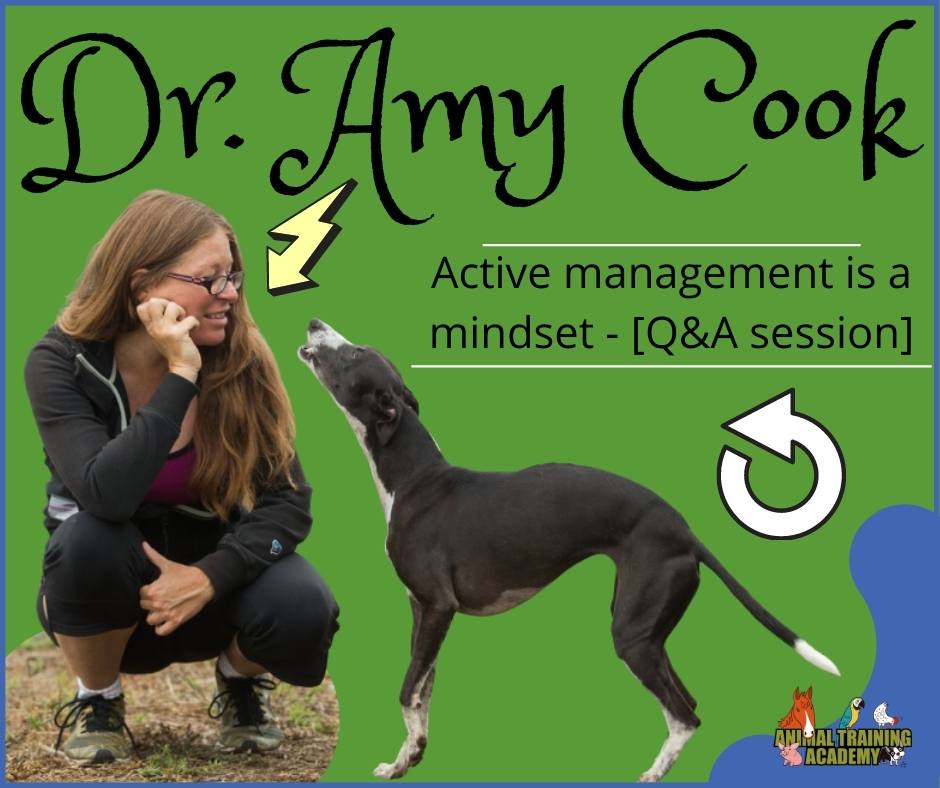 Active management is a mindset – Dr. Amy Cook [Live Q&A session]