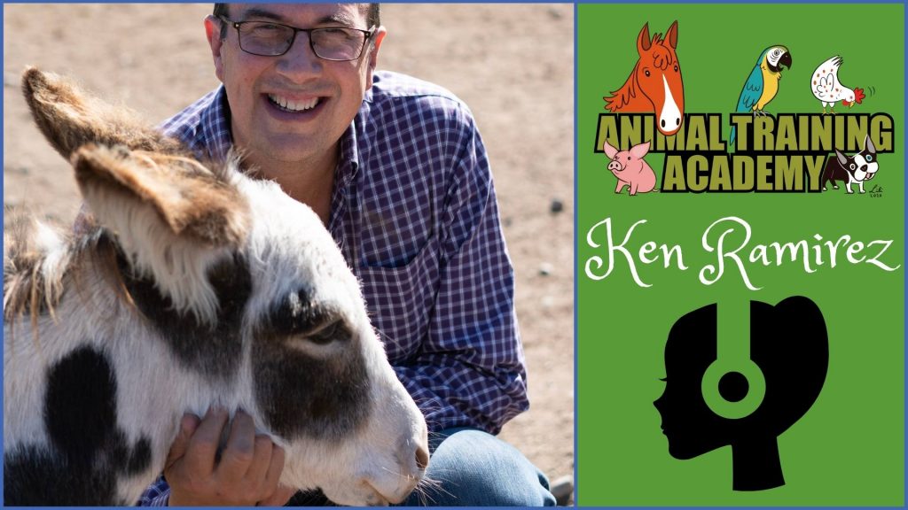 Top ten ATA podcast episodes of all time ? Animal Training Academy