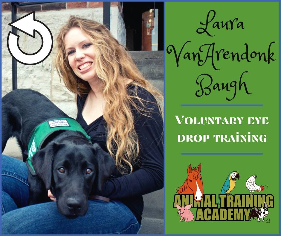 Voluntary eye drop training with Laura VanArendonk Baugh