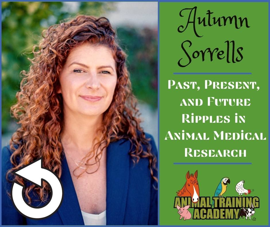 Welfare, Training & Ripples in Animal Medical Research {past, present & future}