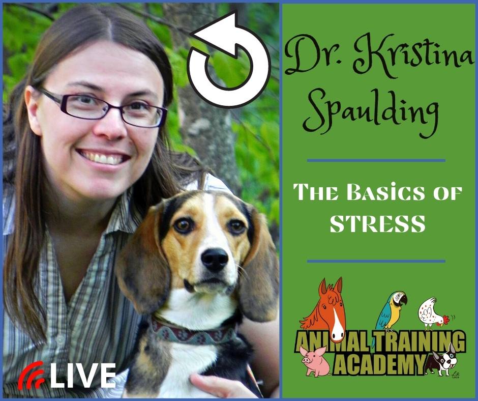 The Basics of Stress with Dr. Kristina Spaulding Animal Training